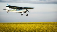 Carney's $370M canola incentives are missing the mark, says industry group president