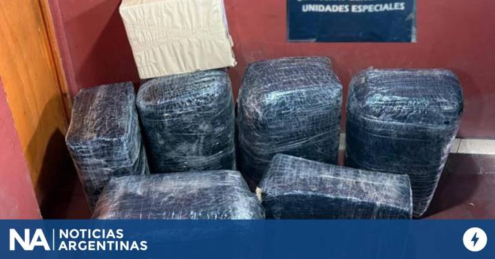 Frontera: descubren 100 kilos de hojas de coca contrabandeada