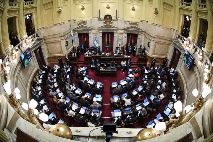 El Senado vuelve a la carga y la oposición busca rechazar de forma definitiva el veto a la discapacidad