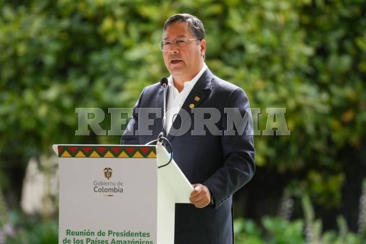 Denuncian a Luis Arce por abandono  de mujer embarazada