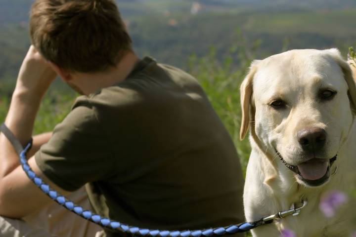 Man Refuses Brother’s Dog on Parents’ Anniversary Trip