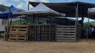 Niños desplazados por la violencia toman clases en aulas precarias al sur de Mazatlán