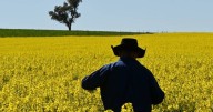Farming export success sows seeds of growth goal reset