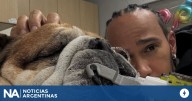 Preocupación por la salud de Roscoe, el perro de Hamilton: “No sabemos si va a despertar”