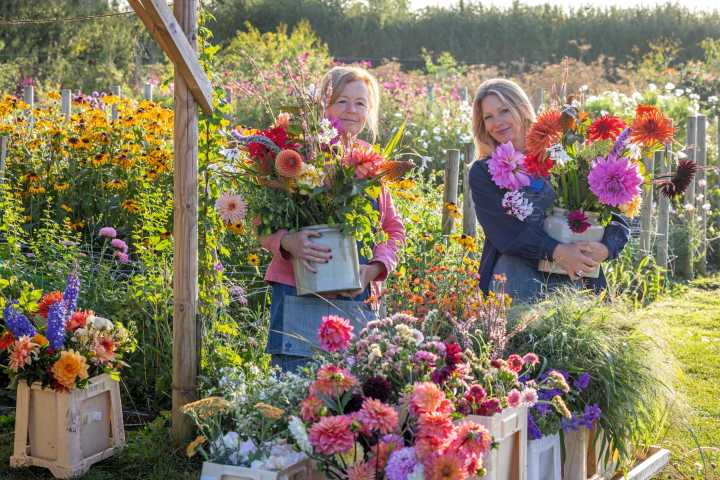 'We want everyone to have a magical time': Life at the smartest flower farm in the Cotswolds