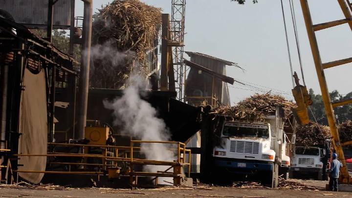 Líderes cañeros piden revisiones a las leyes para evitar las importaciones