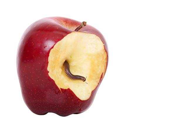 Microsoft spots XCSSET strain hiding in Apple dev projects • The Register