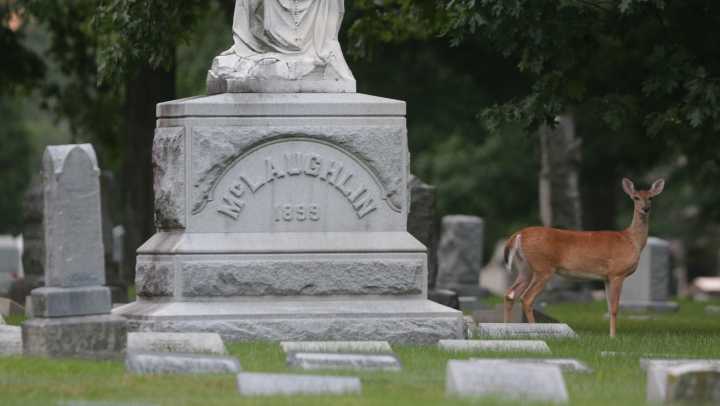 Crown Hill Cemetery offers tour inside its mausoleums. How to get tickets