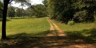 Attorney for victim speaks after lawsuit filed in horrific Bibb County dog attack