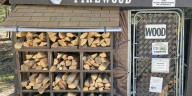 Why buying local firewood can limit the spread of invasive species
