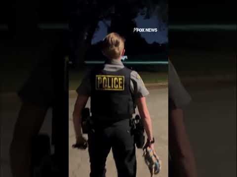 RUNAWAY PONY: Horse leads police on wild chase across golf course #shorts #cute #animals #usa #pony