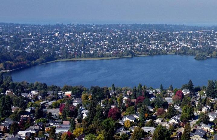 Toxic algae found in Seattle’s Green Lake: Dogs, people should stay out