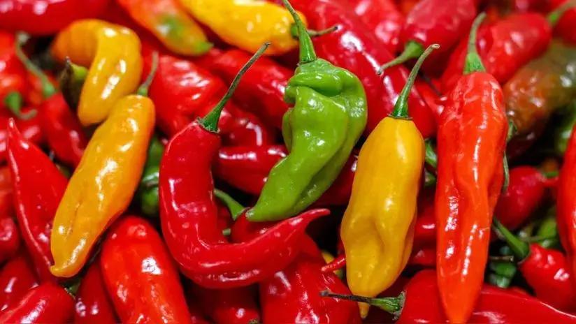 Día de los Ajíes Peruanos: más de 350 variedades que, con color y sabor, llegan a 32 mercados internacionales