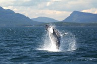 Vancouver Island and Whistler featured in National Geographic’s list of ‘unforgettable family adventures’