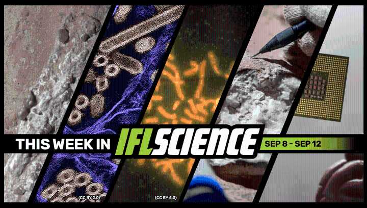 Martian Mudstone Has Features That Might Be Biosignatures, New Brain Implant Can Decode Your Internal Monologue, And Much More This Week