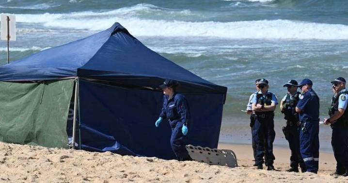 Beloved shark attack victim mourned as net trial paused