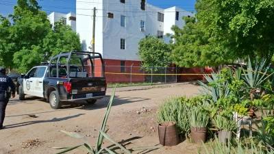 Localizan el cadáver de una mujer en la…