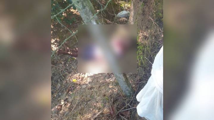 Assam-o bilsi 35 ong•gipa mande saksako jinma so•ote gala