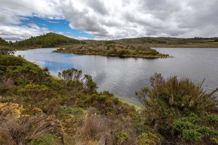 Con más de un millón de árboles nativos, Boyacá restaurará 352,6 hectáreas de páramo