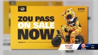 Border War: Mizzou students with season pass struggle to buy tickets for KU game