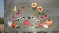 Skinny Bones Pumpkin Patch opens for fall