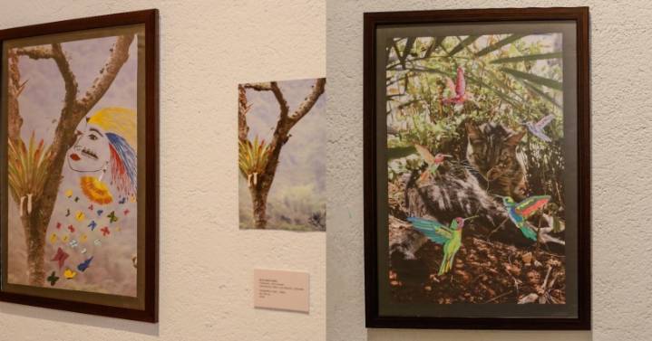 ‘Fusión’, la exposición temporal colombo – cubana para disfrutar en Museo Panóptico de Ibagué