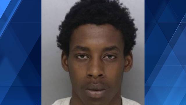 Delhi Township police searching for suspect accused of stealing car, fleeing