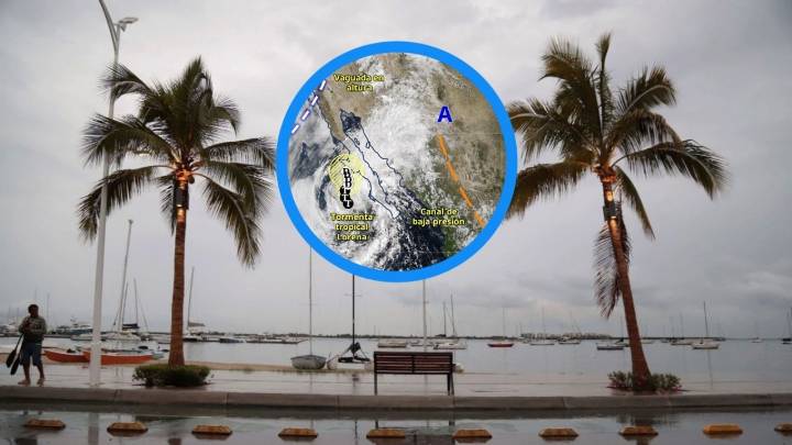 SMN prevé que Lorena se desplace junto a las costas de Baja California Sur con rachas de 100 kilómetros por hora