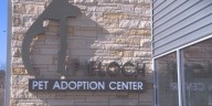 Capital Humane Society hosts ‘Fall for a Friend’ adoption promotion