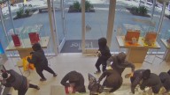 Masked mob raids California jewelry store in $1M smash