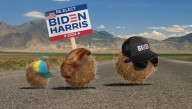 Family Of Tumbleweeds Excitedly Makes Trip To Biden Rally