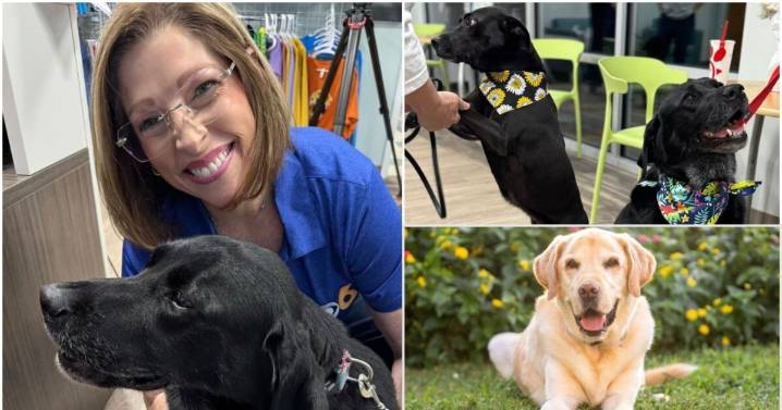 Stanley shatters record in honor of Walter the Weather Dog for Richmond Animal League contest