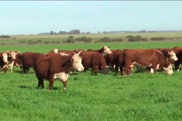 Productores piden la creación de fiscalías específicas para combatir delitos rurales