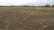 Planned Fallen Timbers housing development falls through, lawsuit filed