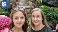 Superannuation death benefits have been going to domestic abusers. The industry wants it to stop