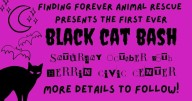 Black Cat Bash Brings Costumes, Music, and Community Spirit to Support Animal Rescue