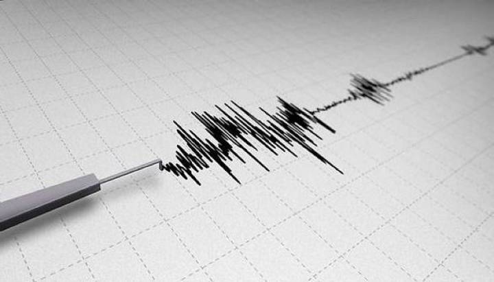 SHOA descarta tsunami en costas chilenas tras terremoto 7,5 en Rusia