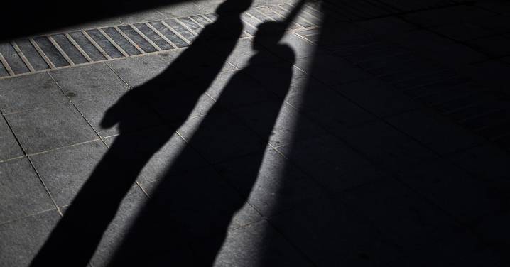 La Fiscalía pide al Tribunal de Cuentas que investigue las irregularidades en las ayudas de la DGAIA