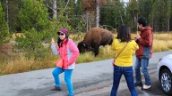 "Tourons" On The Loose: Travelers Are Behaving So Badly That They've Earned A New Nickname