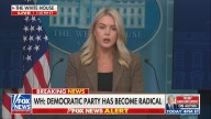 Karoline Leavitt Torches House Dems for Opposing Charlie Kirk Resolution