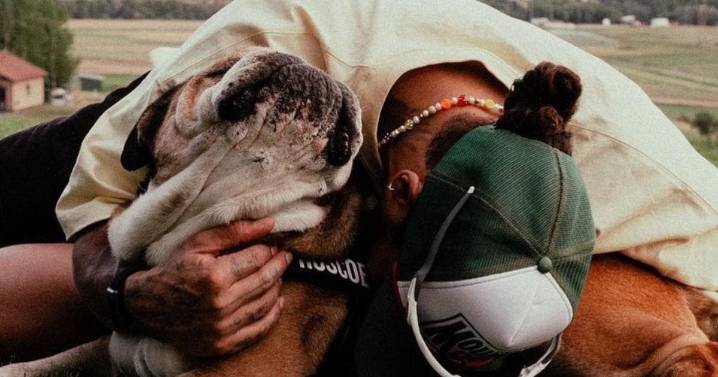 Fallece Roscoe, el inseparable bulldog de Lewis Hamilton y figura de la F1