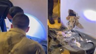 California Pup Was Trapped In A Wall For Hours And Firefighters Step In For A Heroic Rescue