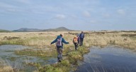 Peatland, pollinators and praise for award