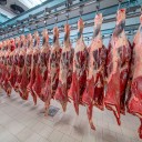 INVERSIÓN DE 650 MDP PARA PROGRAMA CÁRNICO