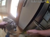Dog rescued in house fire on Aurora’s East Side Thursday