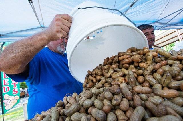 36th annual Brooklet Peanut Festival chock full o' nuts