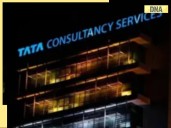 TCS incurs massive valuation loss, Reliance, Infosys stay afloat due to...