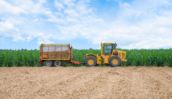La mecanización de la cosecha de Incauca, un cambio en las reglas de su producción