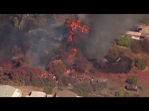 ‘All I had were my pets’ | Homeowner loses cats in Lakeside fire that destroyed multiple homes