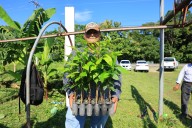 Vivero Las Lilias producirá 2.4 millones de plantas para reforestación